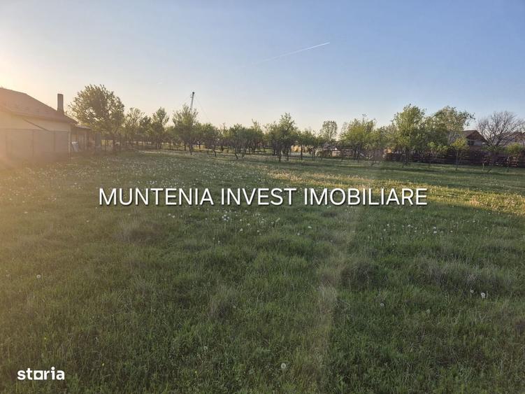 Spațiu comercial, în Poiana Lacului