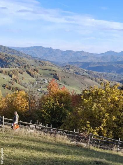 Teren de 25000 mp, în Bistra