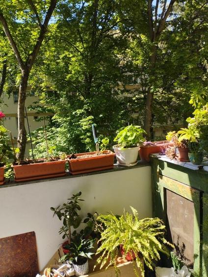 Apartament cu 3 camere decomandat în Gheorgheni
