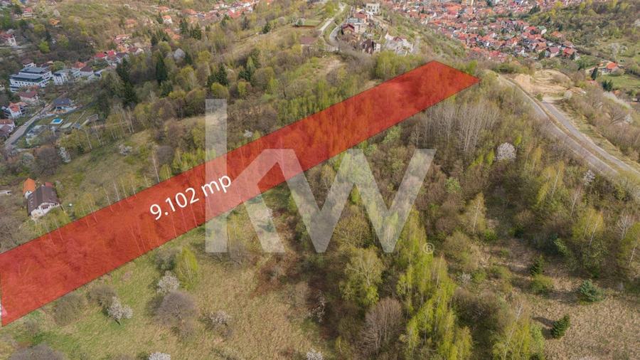 Teren Construcții intravilan de 9102 mp, în Drumul Poienii