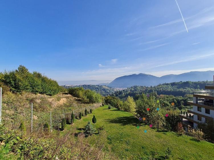 Teren Construcții intravilan de 16650 mp, în Drumul Poienii