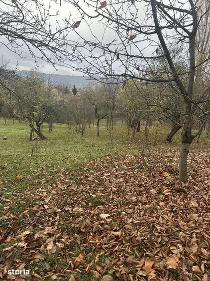 Teren de 1800 mp, în Cornu