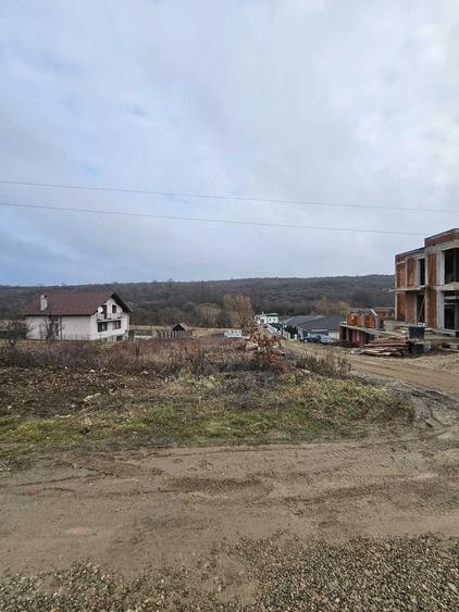 Teren Construcții intravilan de 900 mp, în Săldăbagiu de Munte