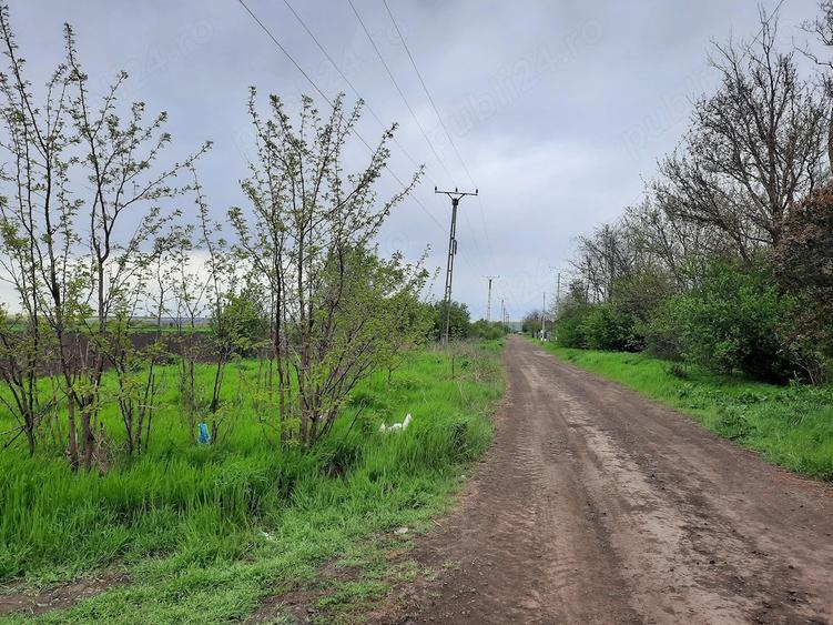 Vand teren intravilan (4500mp) comuna TUDOR VLADIMIRESCU, jud. Galati - 4