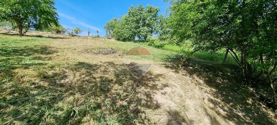 Teren Construcții intravilan de 873 mp, în Ocoliș