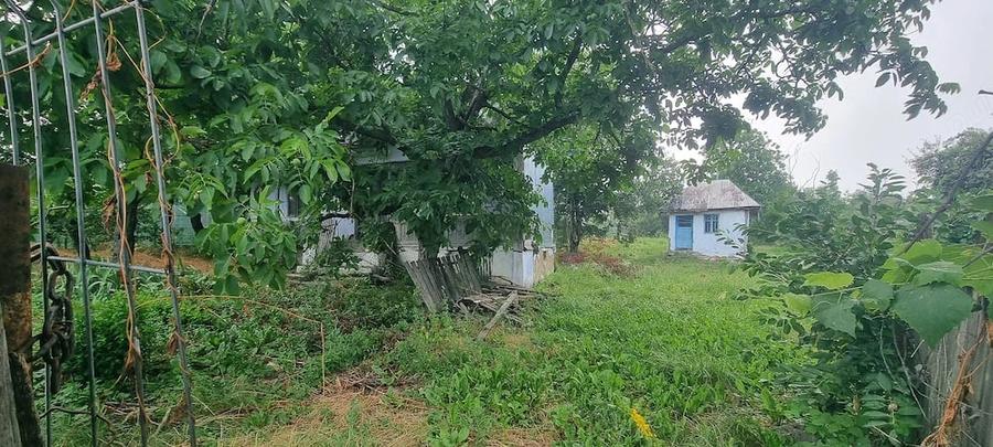 Teren de 3600 mp, în Siliștea