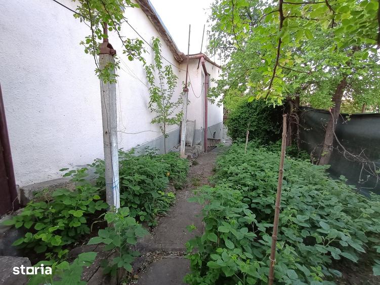 Casă cu 3 camere cu Teren 250 Mp în Central