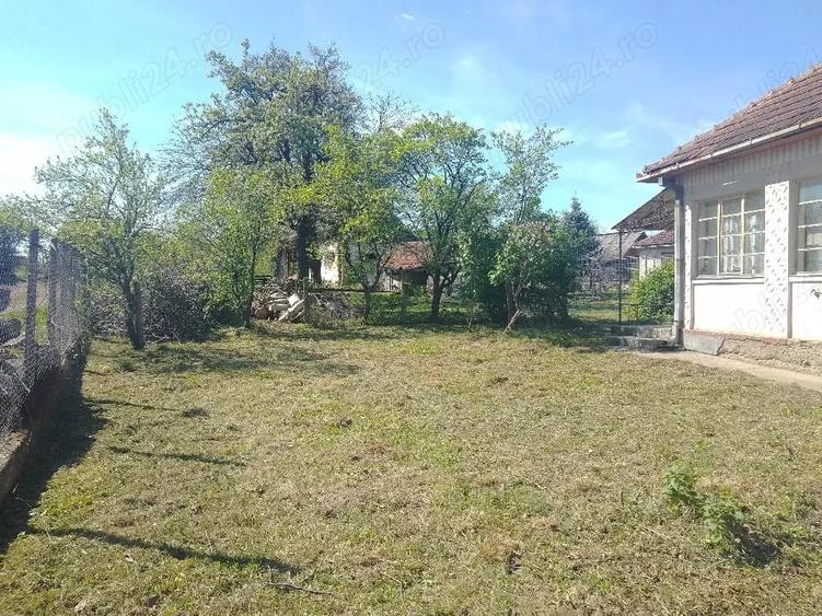Casă cu 3 camere cu Teren 4123 Mp în Viile Satu Mare