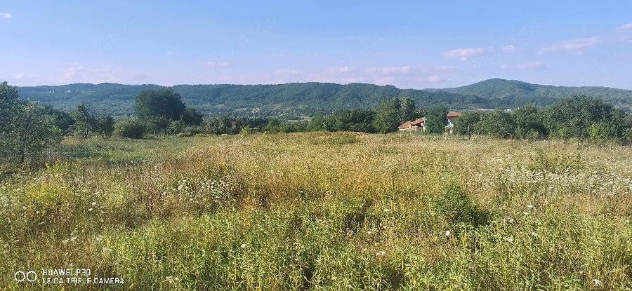 Teren de 5000 mp, în Unguriu