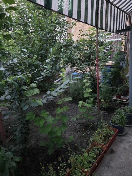 Casă cu 3 camere cu Teren 250 Mp în Marghiloman