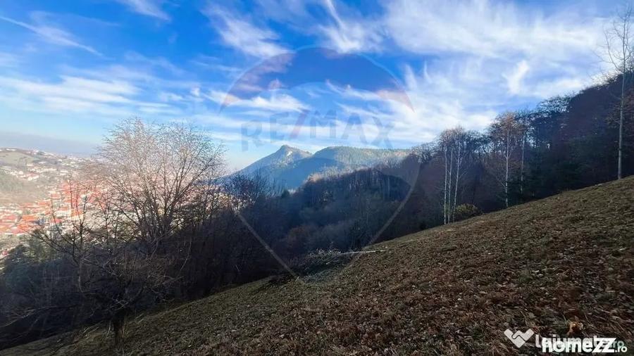 Teren Colinar Panoramic 17.684 mp in Scheii Bra?ovului - 13