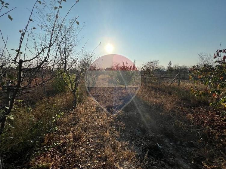 Casă individuală cu 4 camere cu Teren 1256 Mp în Central
