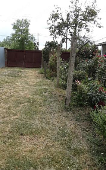 Casă cu 2 camere cu Teren 2700 Mp în Central