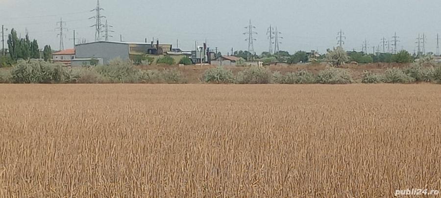 Teren de 8400 mp, în Sud