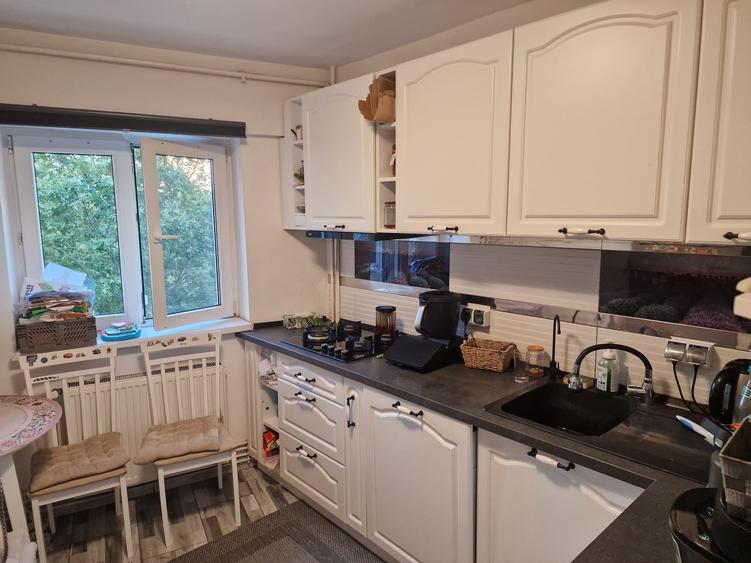 Dristor Vitan, centrala, renovat/mobilat, AC, 2 bai, 2 parcuri, metrou, ParkLake - 2