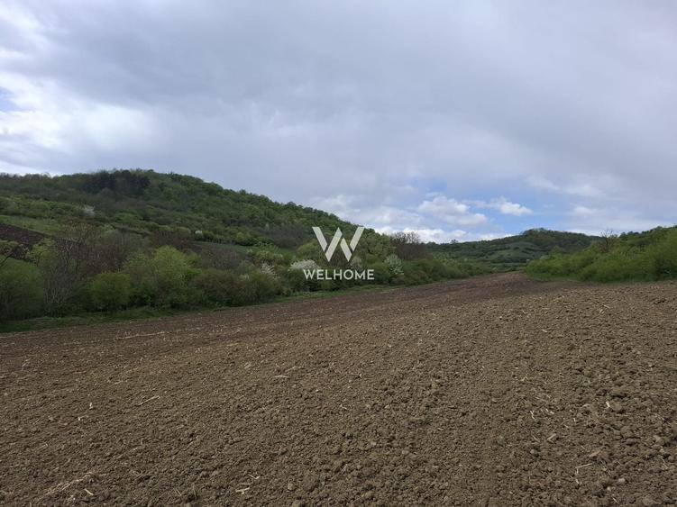 Teren agricol extravilan de 18175 mp, în Gușterița