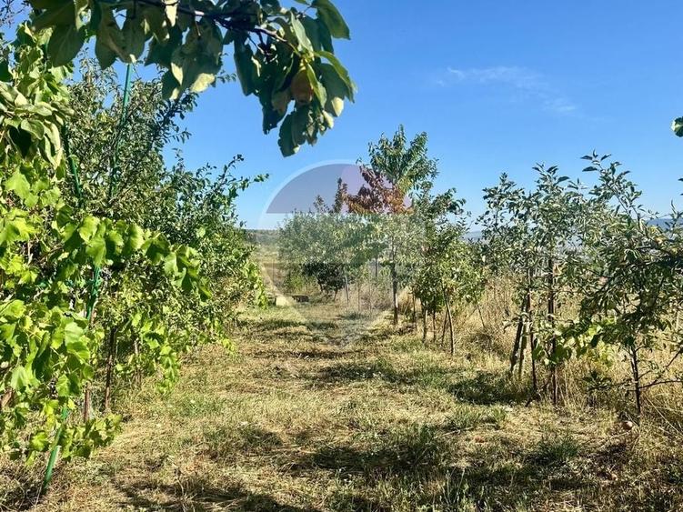 Teren agricol extravilan de 579 mp, în Chinteni