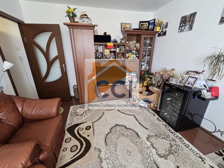 Apartament cu 2 camere nedecomandat, mobilat în Narcisa