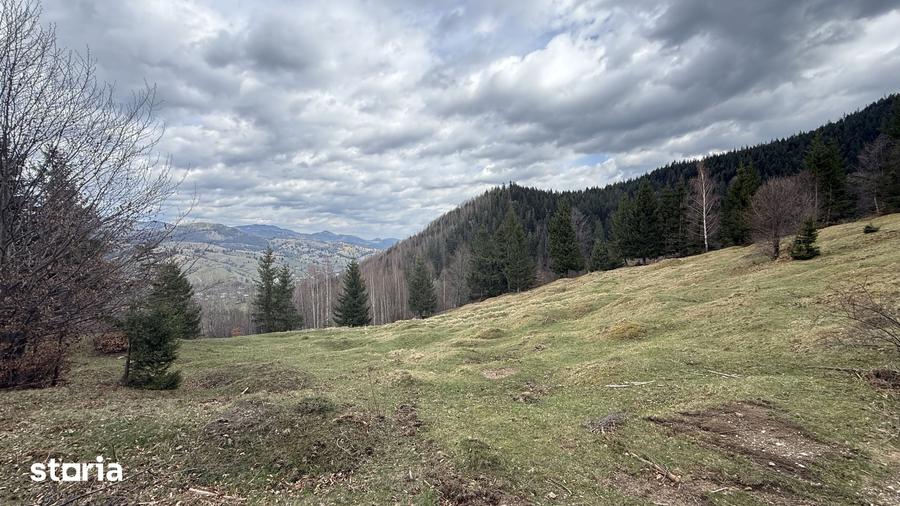 Teren de 10270 mp, în Sadova