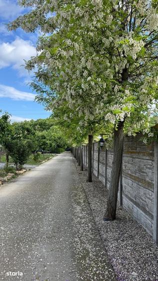 Casă cu 4 camere cu Teren 460 Mp în Snagov