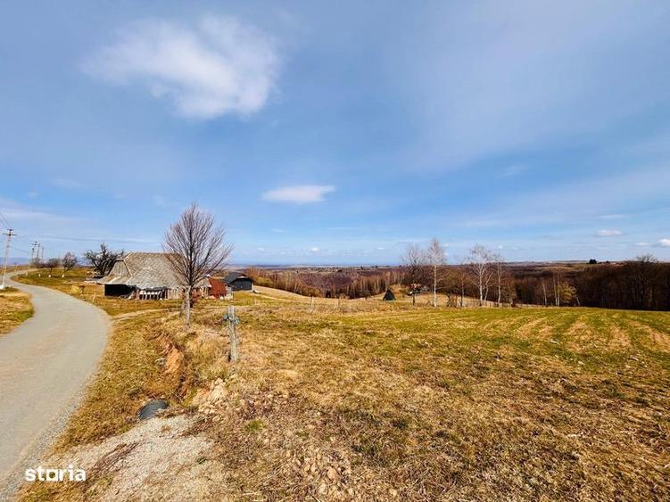 Teren de 3000 mp, în Râșca