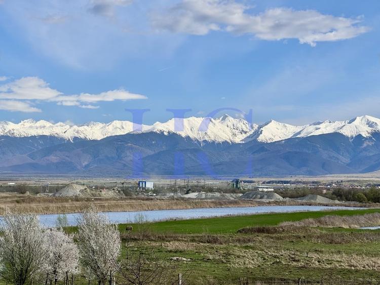 Teren agricol extravilan de 10000 mp, în Bradu