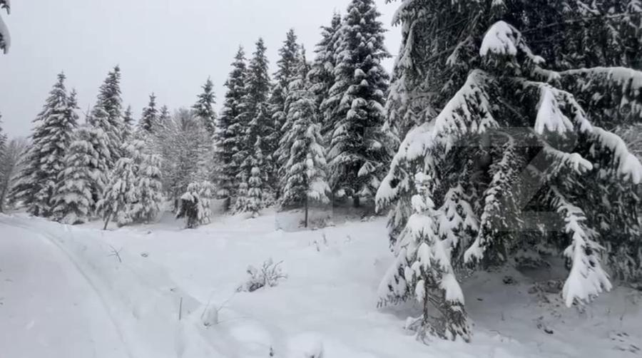 Teren Construcții intravilan de 1075 mp, în Colibița