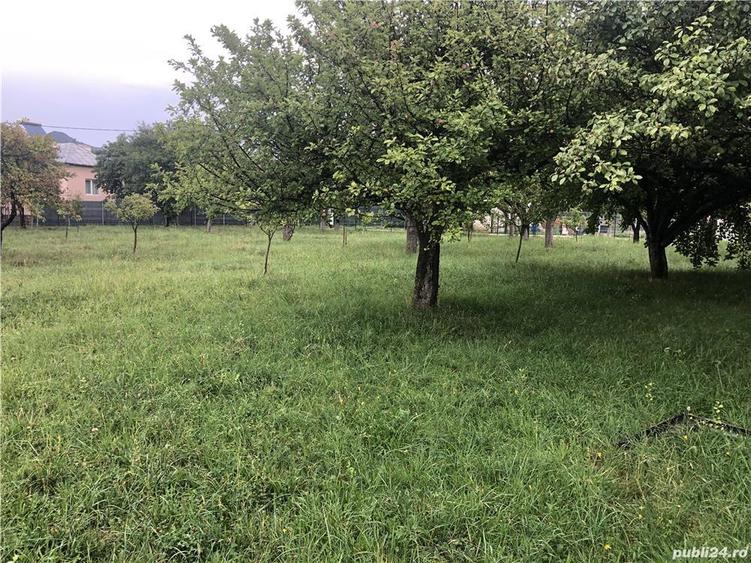 Teren de 1000 mp, în Valea Mare