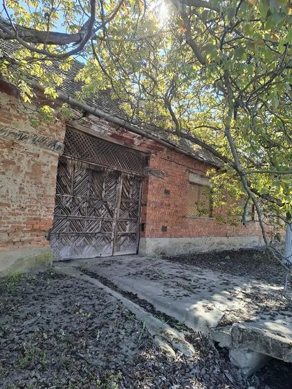 Casă cu Teren 5800 Mp în Sălbăgel