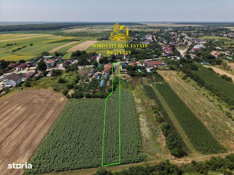 Teren de 2700 mp, în Ciocănești