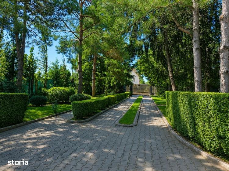 Lakefront Estate | 3.000 mp Teren | Ponton Privat | Snagov - 1