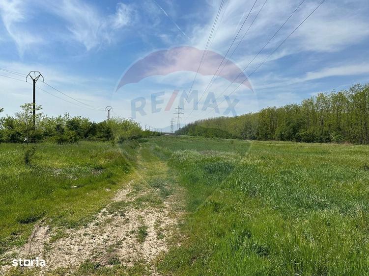 Spațiu comercial, în Dragomirești-Vale