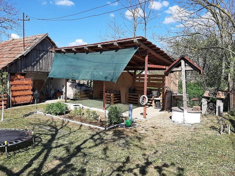 Casă cu Teren 540 Mp în Sălard
