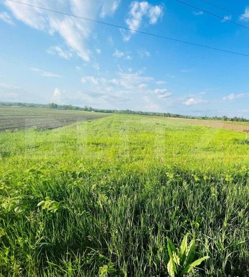 Teren Construcții extravilan de 5521 mp, în Exterior Vest