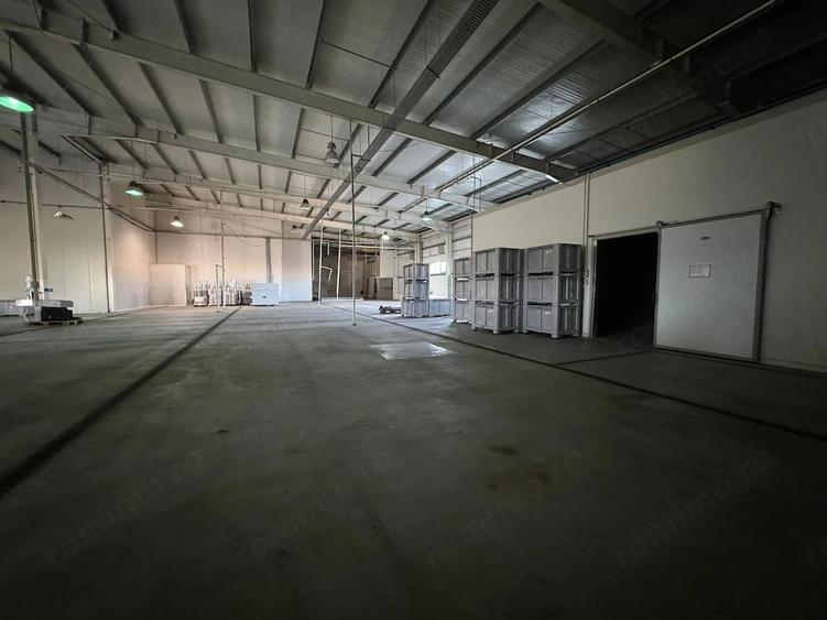 Spațiu comercial, de 3,650 mp, în Dumbrăvița