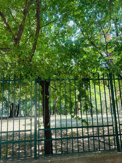 Apartament cu 4 camere decomandat în Doamna Ghica