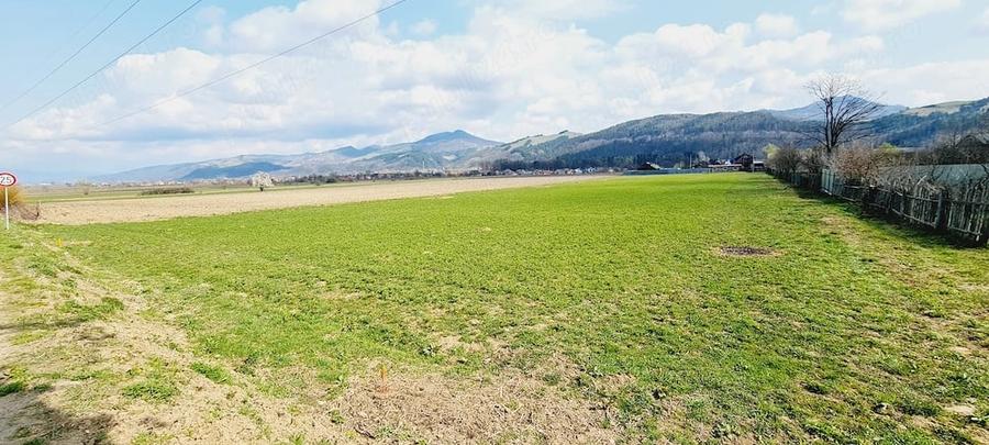 Teren de 8906 mp, în Dofteana
