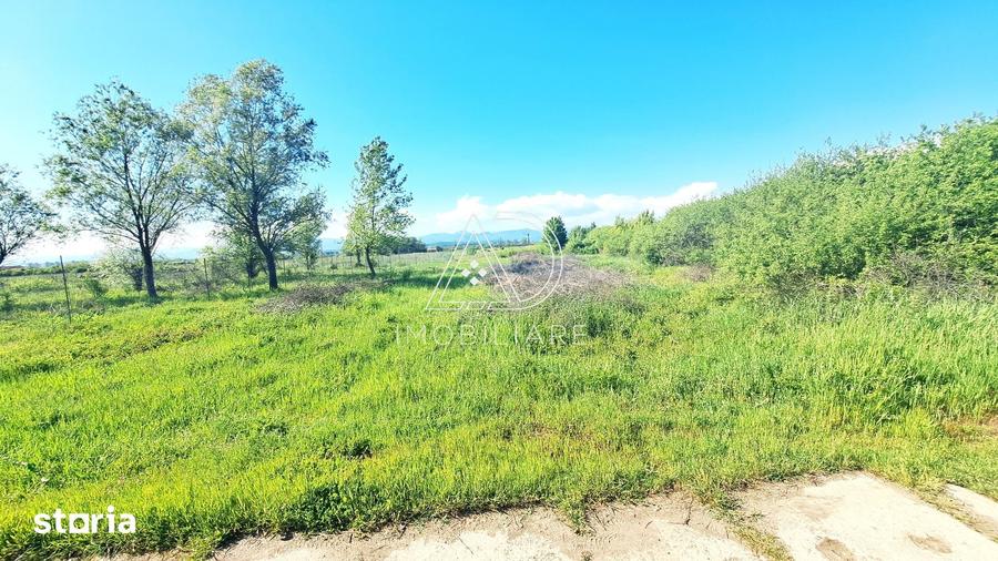 Teren de 2500 mp, în Centura