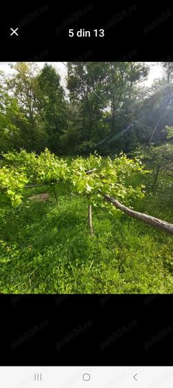 Casă cu 2 camere în Berislăvești