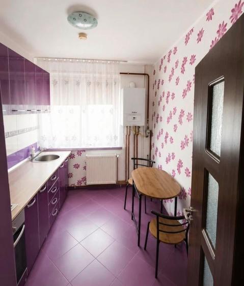 Apartament 2 camere semidecomandate Calea Severinului-Gradina Botanica - 3