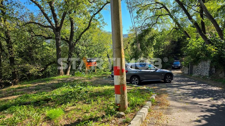 Teren Construcții intravilan de 2385 mp, în Schei
