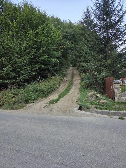 Teren de 5000 mp, în Brateș