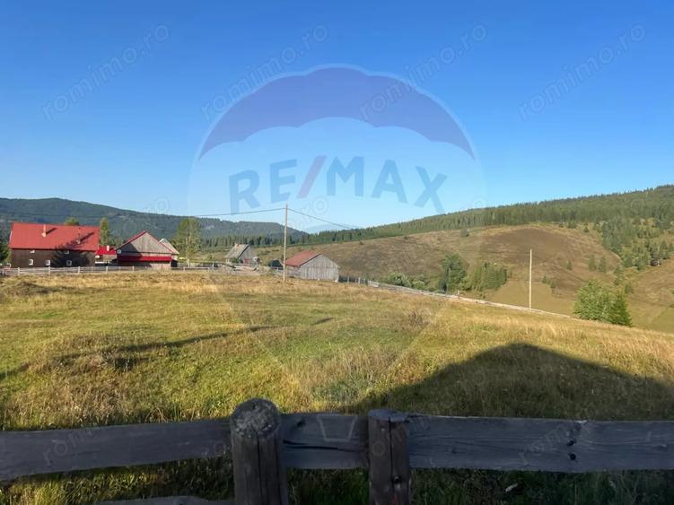 Teren de 4914 mp, în Giurcuța de Sus