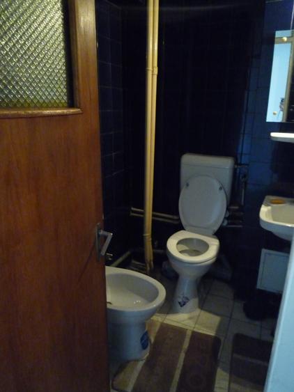 Apartament 3 camere Ion Mihalache-Averescu - 10