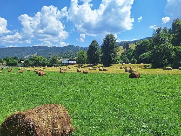 Teren de 18200 mp, în Tulgheș