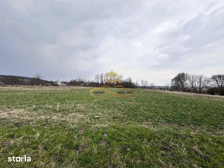 Teren de 11021 mp, în Blăgești