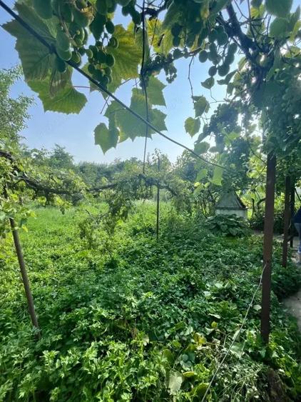 Casă cu 3 camere cu Teren 800 Mp în Siret