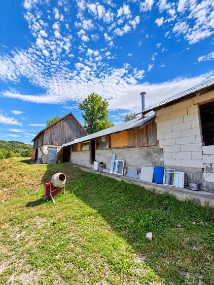 Casă cu 2 camere în Sohodol