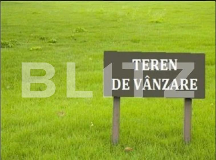 Teren intravilan de vanzare, 29 ari, Ilisesti - 1