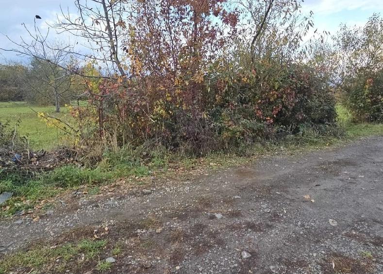 Teren de 2629 mp, în Unio